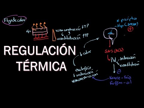 Fisiología hipotalámica: Regulación