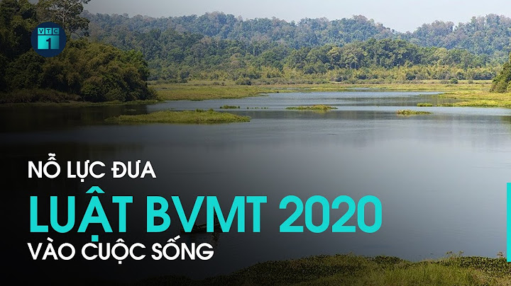 Luật bảo vệ môi trường được ban hành năm nào