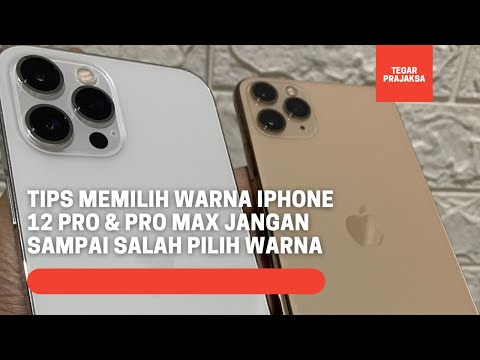 Tips Memilih Warna iphone 12 Pro & Pro Max