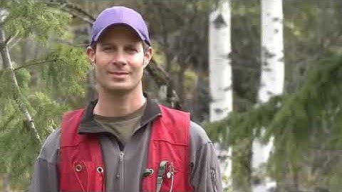 Mineral Exploration, Geologist