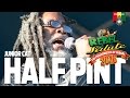 Half Pint & Junior Cat Live at Rebel Salute 2016