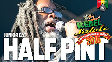 Half Pint & Junior Cat Live at Rebel Salute 2016