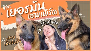 เยอรมันเชพเพิร์ด สุนัขตำรวจสุดฉลาด | นิสัยและการดูแลที่ถูกต้อง (EP.25)