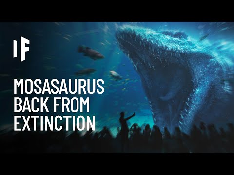Video: Jsou mosasaurus ještě naživu?