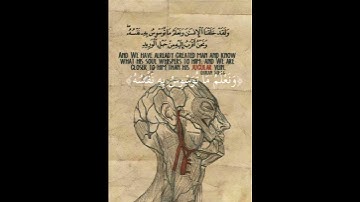 سورة ق | تغريدات من الشيخ محمد صديق المنشاوي #القرآن_الكريم #المنشاوي