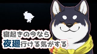 寝起きの今なら夜廻できる気がする犬