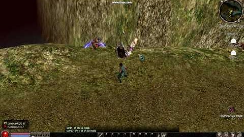 Metin2.us Hacker Busted