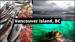 Spearfishing in Dangerous Current (British Columbia, Canada)