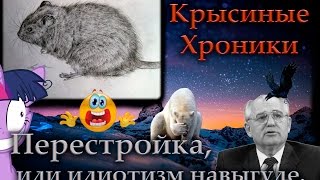 Крысы | Перестройка, или идиотизм на выгуле. 0_о Крысы | Перестройка, или идиотизм на выгуле. 0_о