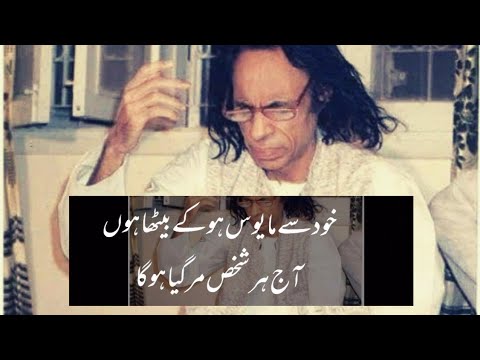 Jon elia poetry   shots  youtubeshorts  jonelia  l  sad  poetsunited