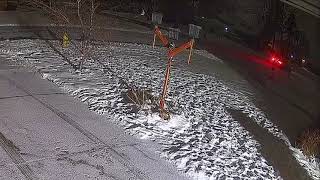 Robbery in Progress at 3200 - 3253 Ronald Rd in Glenview 60025 ,on 2/2/2026 at 03:20am