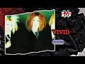 Vivid - Collection