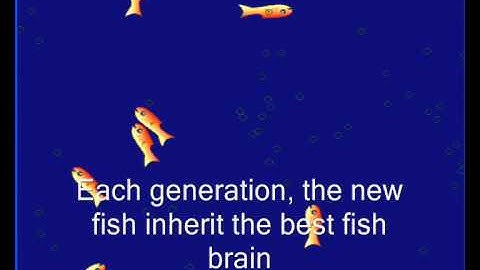 Neural Network Fish
