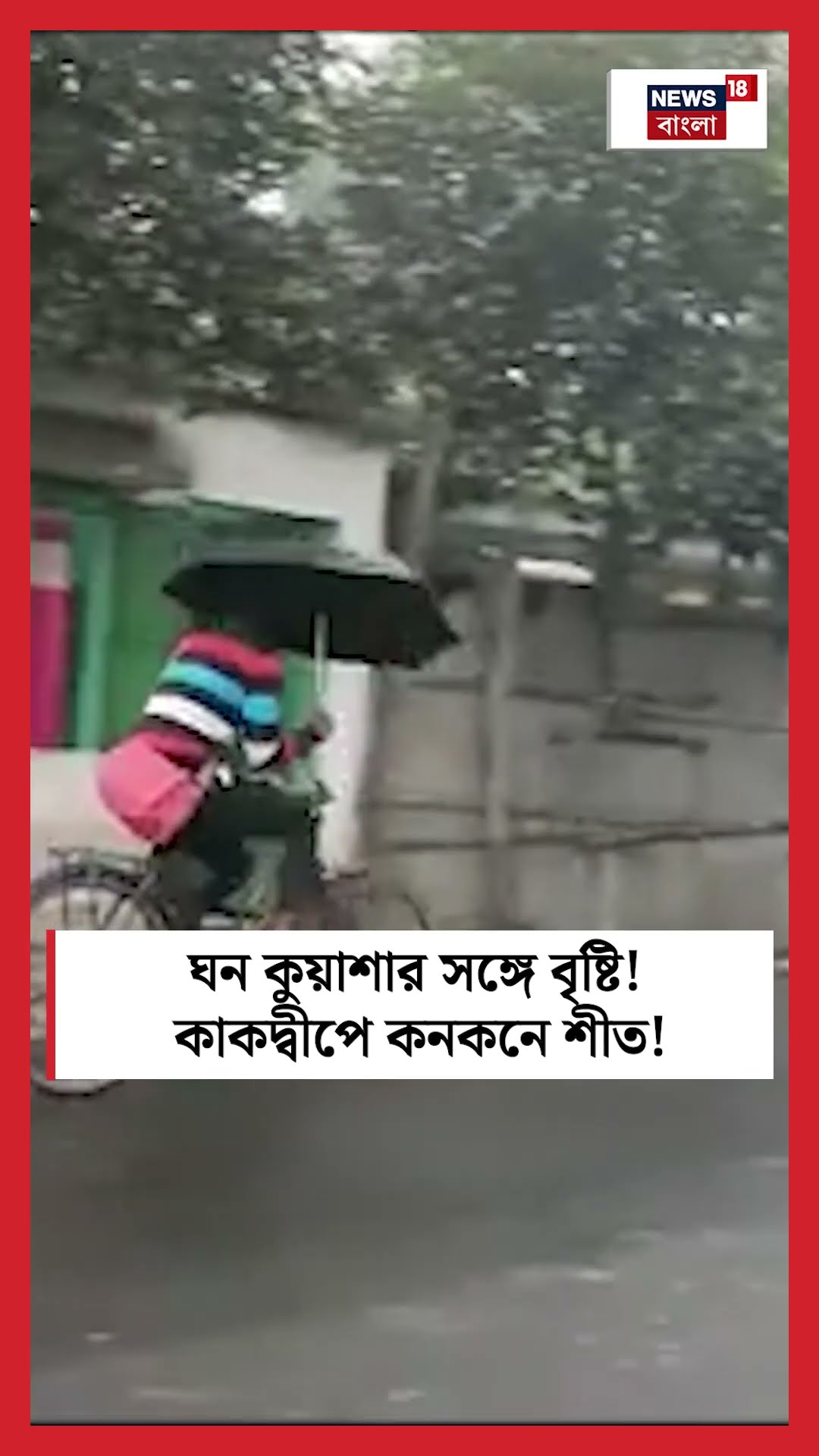 ঘন কুয়াশার সঙ্গে বৃষ্টি! Kakdwip কনকনে শীত! #shorts