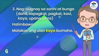 FILIPINO03L31: Pangatnig