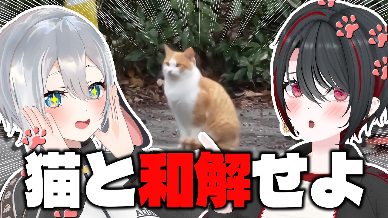 【猫島】翻訳アプリを使ったら猫の本音がヤバいw