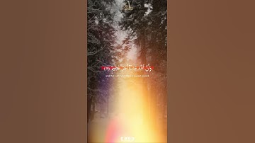 Surah Al Anfal Verse 27 | سورة الأنفال الآية 27 | Abdun Nasir Khan