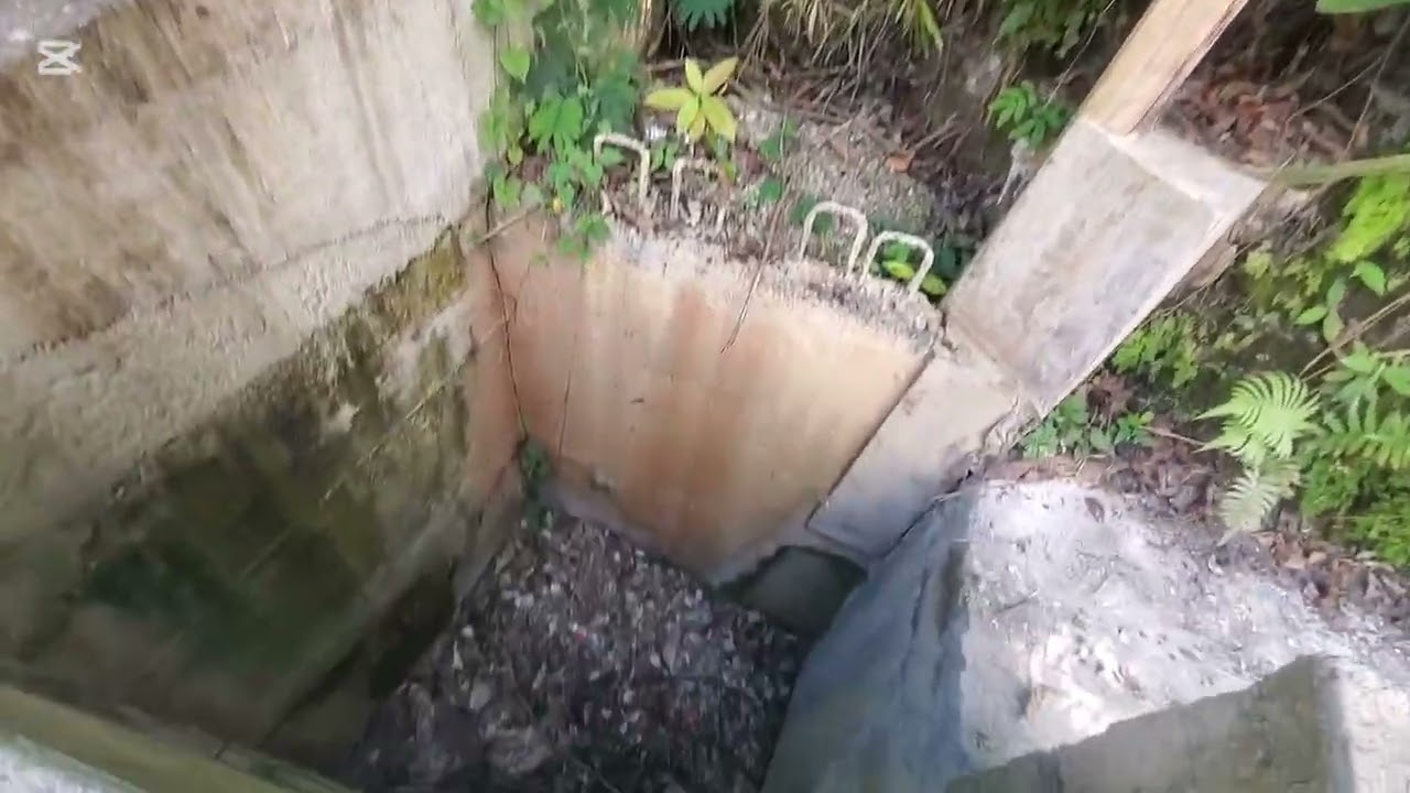 Come take a small walk with me up by Cedarville, St Thomas 