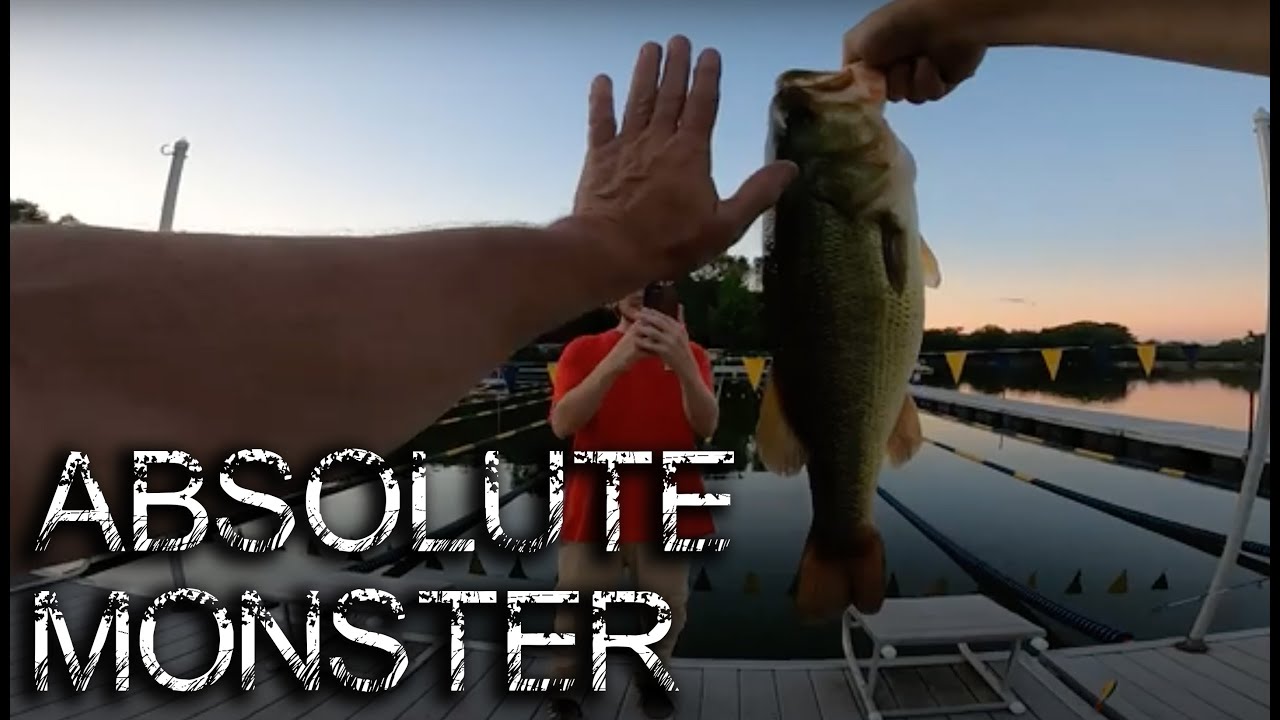 Absolute MONSTER of a Bass! - YouTube