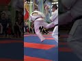 karate knockout