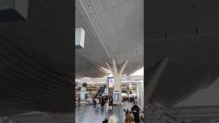 Welcome to Japan Haneda airport the central tourism comes to Japan@alfajarjihad3247