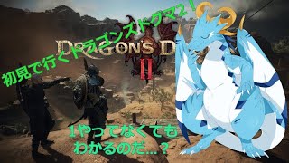 【ドラゴンズドグマ2/新人Vtube】完全初見で行くドラゴンズドグマ2なのだ！！　＃6