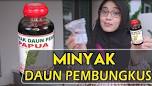 Hasil video untuk minyak daun bungkus tiga jari