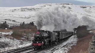 Steam in The Northern Hills Winter 2012.