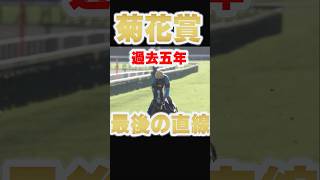 【菊花賞】過去5年最後の直線 #競馬 #菊花賞