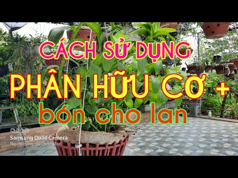 Cách bón phân hữu cơ kết hợp phân tan chậm, bón cho lan. | Foci