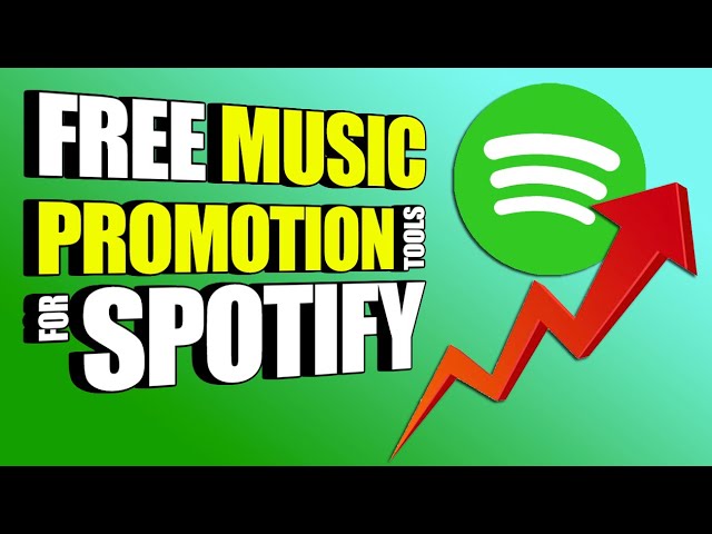 Small Orders or One Big Order? How to order Spotify Music Promotion💰📈