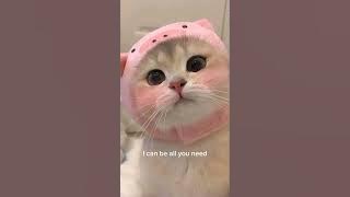 I'II kep you safe