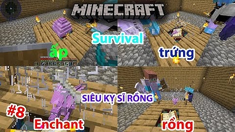 MINECRAFT survival SIÊU KỴ SĨ RỒNG - TẬP 8 | ẤP Trứng rồng EnChant.