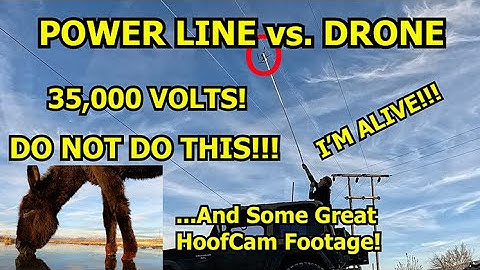 Crashed My Drone at Oasis Spring on a High Voltage Line! Beautiful Donkeys Enjoy A Drink Cool Water