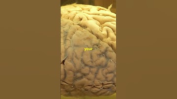 Unlocking thé secrets of memory !#youtubeshorts