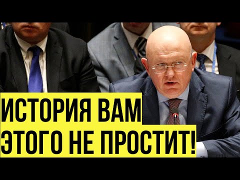 Видео: Небензя про голосование о приеме Палестины в полноправные члены ООН