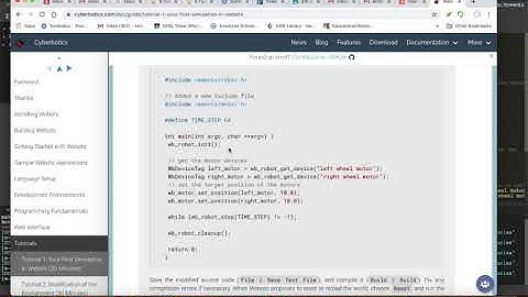 First Tutorial Webots Tips