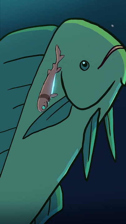 The Cookiecutter Shark 🍪 #animation #original #cartoon
