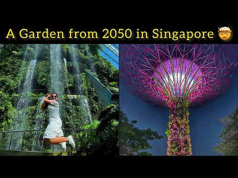 वीडियो: सिंगापुर गार्डन बाय द बे में क्या देखें और क्या करें