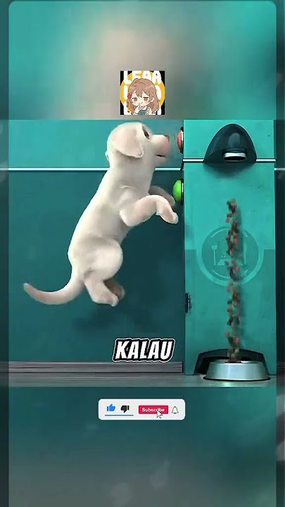 Tonton Sampai Habis 😱‼️#alurceritafilm #shorts #fakesituation #tamat