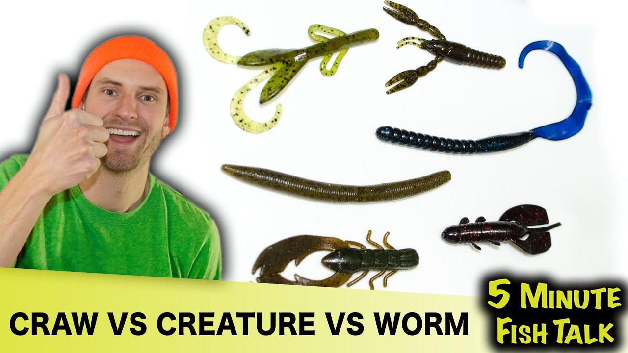 How To Choose The Right Soft Plastics For Bass Fishing YouTube