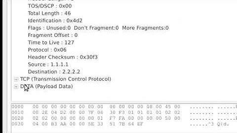 Lab08: Using Ostinato to generate random packets