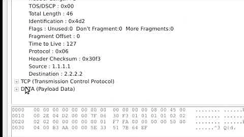 Lab08: Using Ostinato to generate random packets