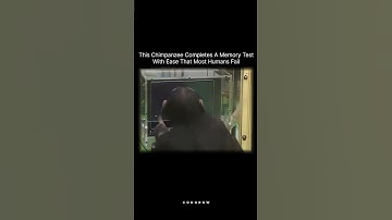 A Memory Test... | #shorts #shortsfeed #youtubeshorts