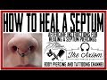 How to Heal a Septum Piercing   Septum Piercing Aftercare