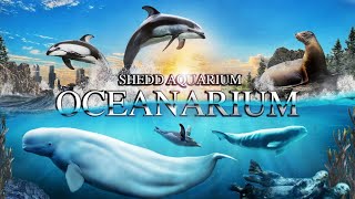 Zoo Tours Ep. 99: The OCEANARIUM at the Shedd Aquarium (1991)