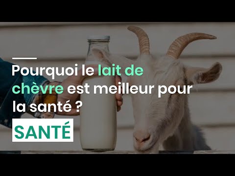 Vidéo: Avantages du lait de chèvre