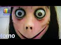 WHATSAPP DEL D1ABL0 " MOMO " EXISTE ó ES FICCIÓN , TODA LA VERDAD...