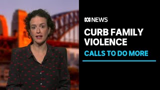Calls on the government to do more to address family violence | ABC News