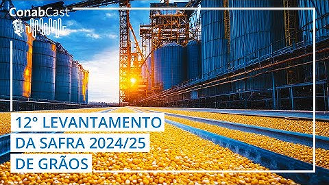 Produção de grãos atinge novo recorde com 350,2 milhões de toneladas colhidas na safra 2024/25